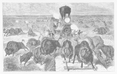 Shooting buffalo from a train in Kansas. Date: 1882