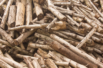Firewood in countryside background