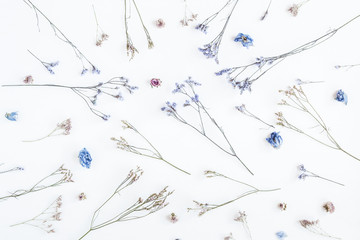 Flowers composition. Pattern made of dried flowers on white background. Flat lay, top view