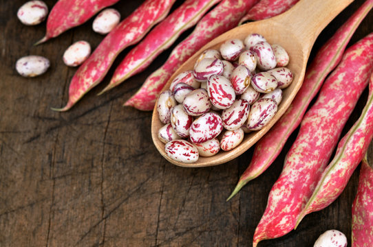 Harvested pinto beans in spoon with pods on wooden background
