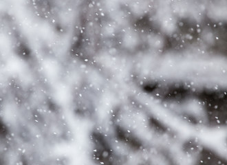 snow in the air as a background