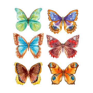Watercolor butterflies vector set