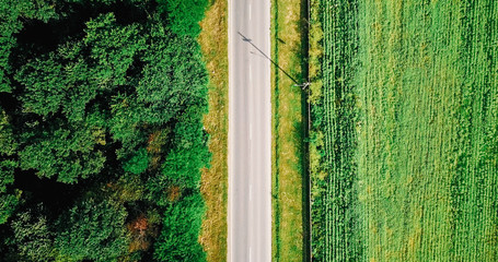 Aerial Drone View Of Road With Forest And Agriculture Crop Field On Sides