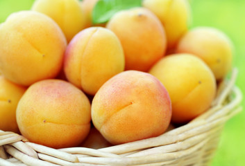 Basket of fresh ripe sweet apricots, selective focus