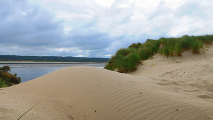 dunes of the Touquet , bay of the Canche , hauts de France , FRANCE 