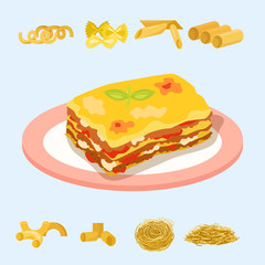 Different types of pasta whole wheat corn rice noodles organic food macaroni yellow nutrition dinner products vector illustration
