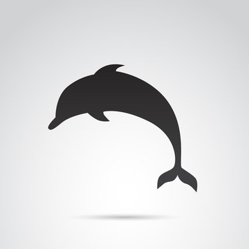 Dolphin, fish vector icon.