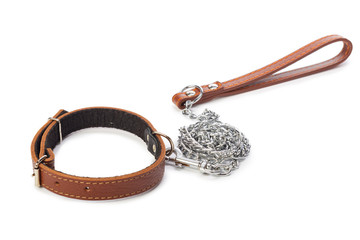 Dog leash isolated on white. close up