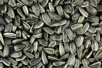 Black sunflower seeds, background