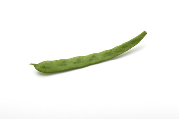 インゲン  モロッコインゲン