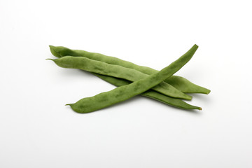 インゲン  モロッコインゲン