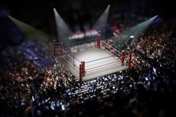 Empty boxing ring surrounded with spectators. 3D illustration