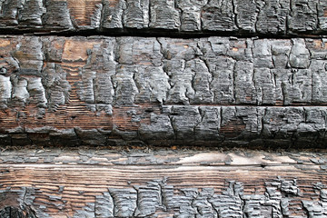 charred wood macro photo