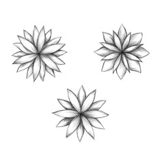 Geometrische Blütenformen