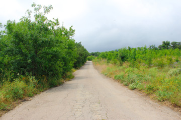 Fototapeta na wymiar Road in the mountains, Crimea