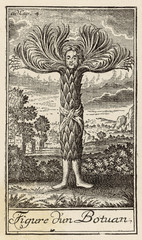 Tree-Man. Date: 1741 - obrazy, fototapety, plakaty
