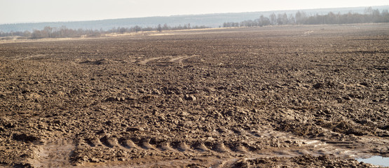 Fallow field at early spring
