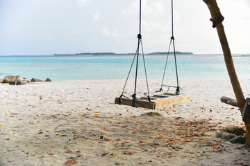 Swing hanging under the tree at Maafushi Island,Maldives