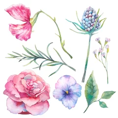 Foto op Plexiglas Handgeschilderde bloemen elementen set. Aquarel botanische illustratie van tuin en veld bloemen en bladeren. Natuurlijke objecten geïsoleerd op een witte achtergrond © ldinka