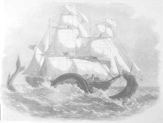 British Banner Serpent. Date: 25 April 1860