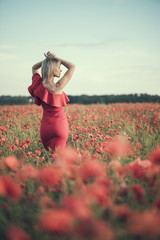 beautiful girl in a poppy field at sunset