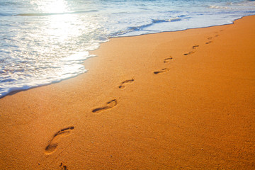 beach, wave and footprints at sunset time