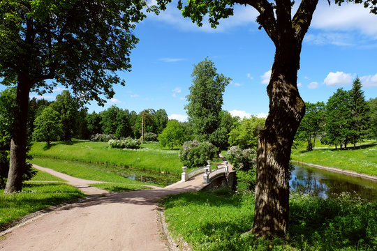 Landscape in Pavlovsk park, Russia