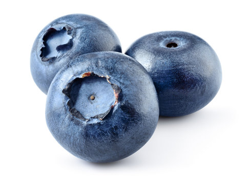 Blueberry. Blueberries isolated on white background. With clipping path.