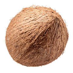 Coconut isolated. Coconut on white background. Full depth of field.