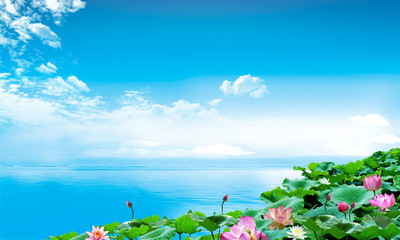 Fototapeta na wymiar Lotus flowers on blue sky background