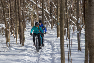 Naklejka premium Attractive couple riding fat bikes in the snow