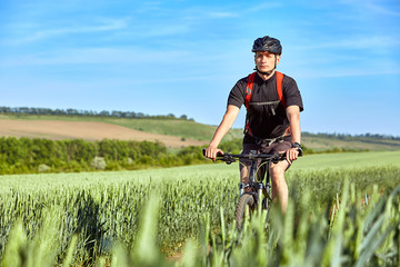 Attractive cyclist rides on the road in a field on a bright sunny day against blue sky.