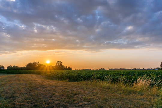 Warmer Sonnenaufgang über einem Feld © Maglido-Photography