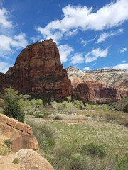 Rock of Angles landing mountain in zion national park