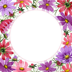 Wildflower kosmeya flower frame in a watercolor style isolated.