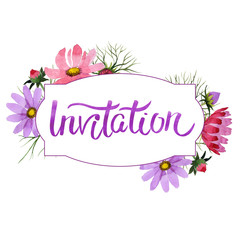 Wildflower kosmeya flower frame in a watercolor style isolated.