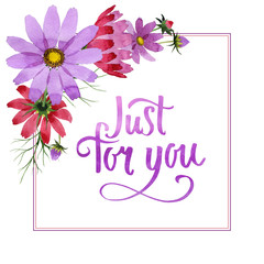 Wildflower kosmeya flower frame in a watercolor style isolated.