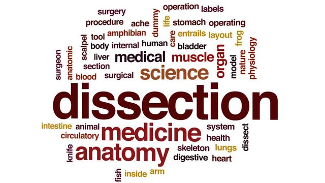 Dissection animated word cloud, text design animation.