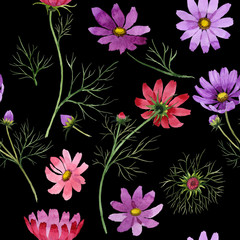 Wildflower kosmeya flower pattern in a watercolor style isolated.