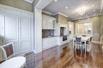 Modern design white kitchen in a spacious apartment.