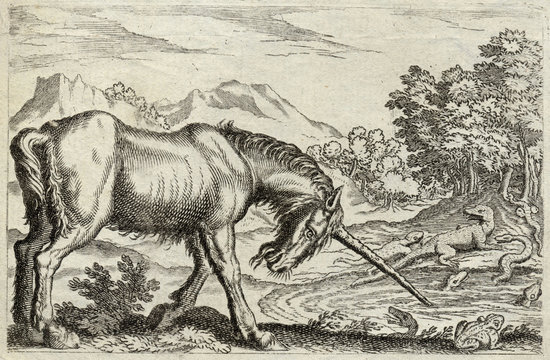 Fototapeta Unicorn - Reptiles. Date: 17th century