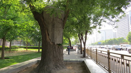 Beijing 