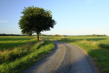 Fototapeta premium Sankt Jürgen Land im Umkreis von Lilienthal