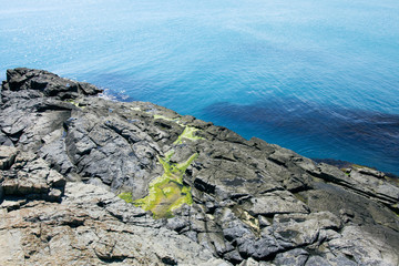 Big Sea Rocks With Moss And Seaweed