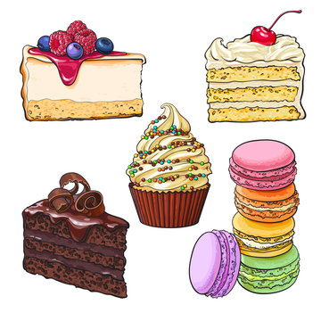 Dessert collection - cupcake, chocolate and vanilla cake, cheesecake, macaroons, sketch vector illustration isolated on white background. Hand drawn desserts - cakes, cupcake, cheesecake, macaroons