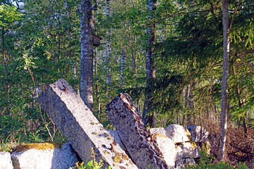 Stone in morning sun