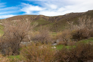 River in the mountains in the nature