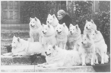 M Keyte Perry and Samoyeds. Date: 1935