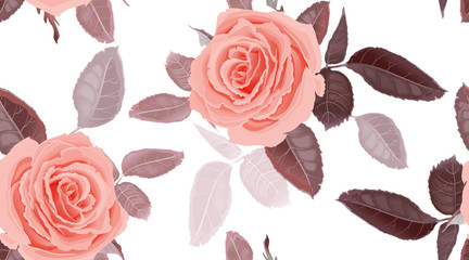 Seamless pattern with flowers roses.