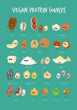 Vector Illustration Of Vegan Protein Source. Cartoon Vegan Food Characters.